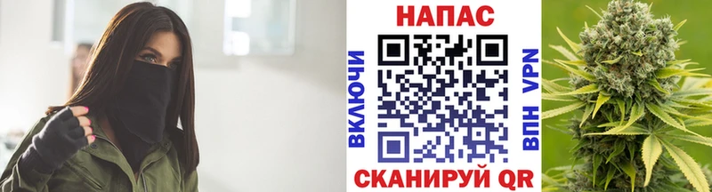 Бошки марихуана White Widow  Купить закладки  Белгород 